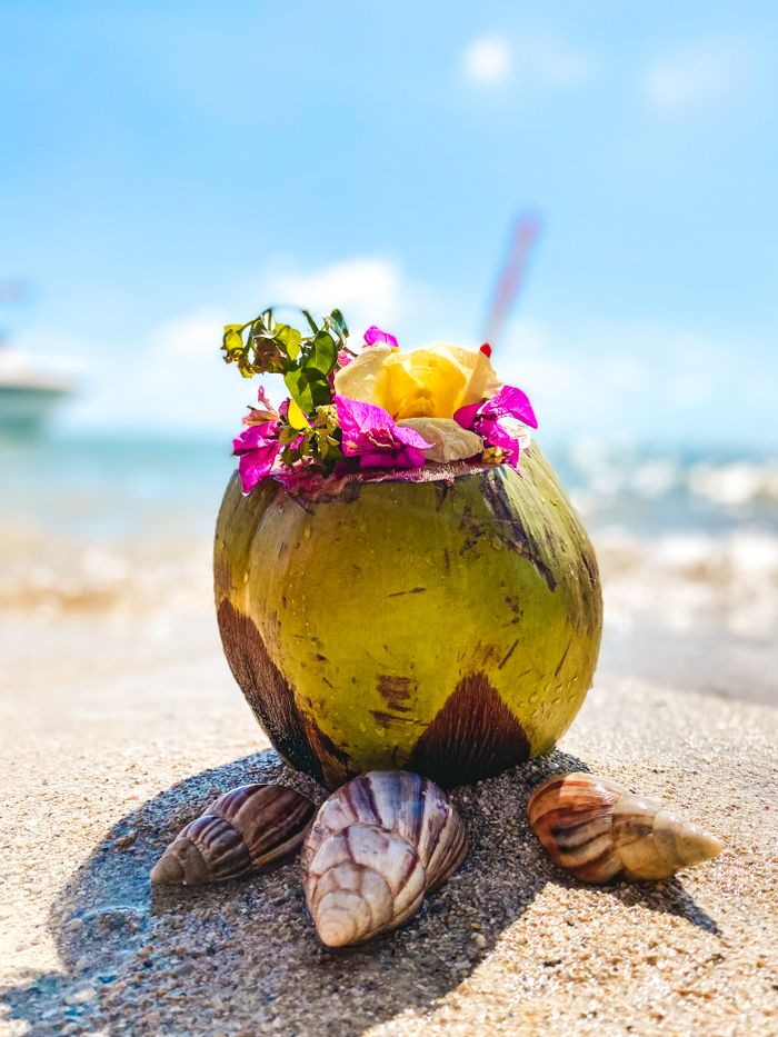 Offerings Vibrant coconut drink with flowers on sandy beach in Mauritius, ideal for tropical themes.